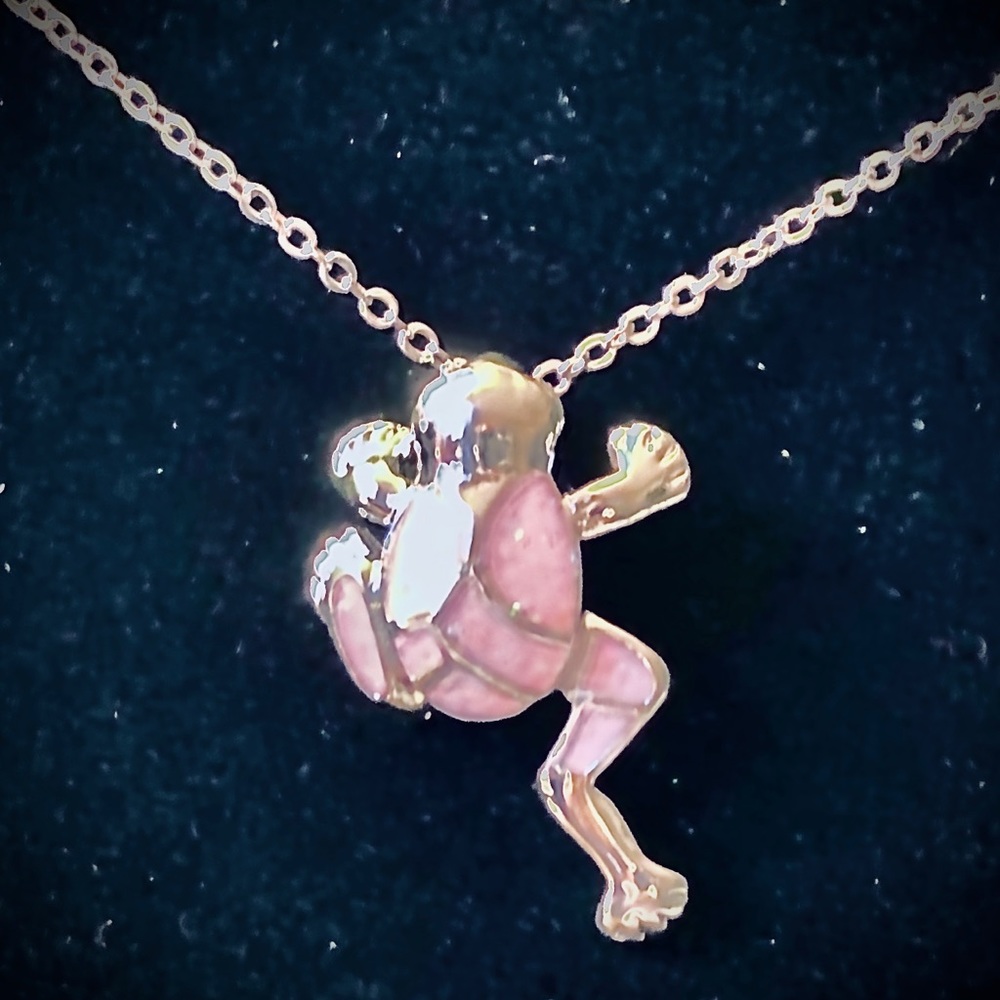 Silver Colored Frog Necklaces - Picture 6 of 8